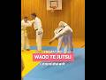 Zu Gast bei WADO TE JUTSU
