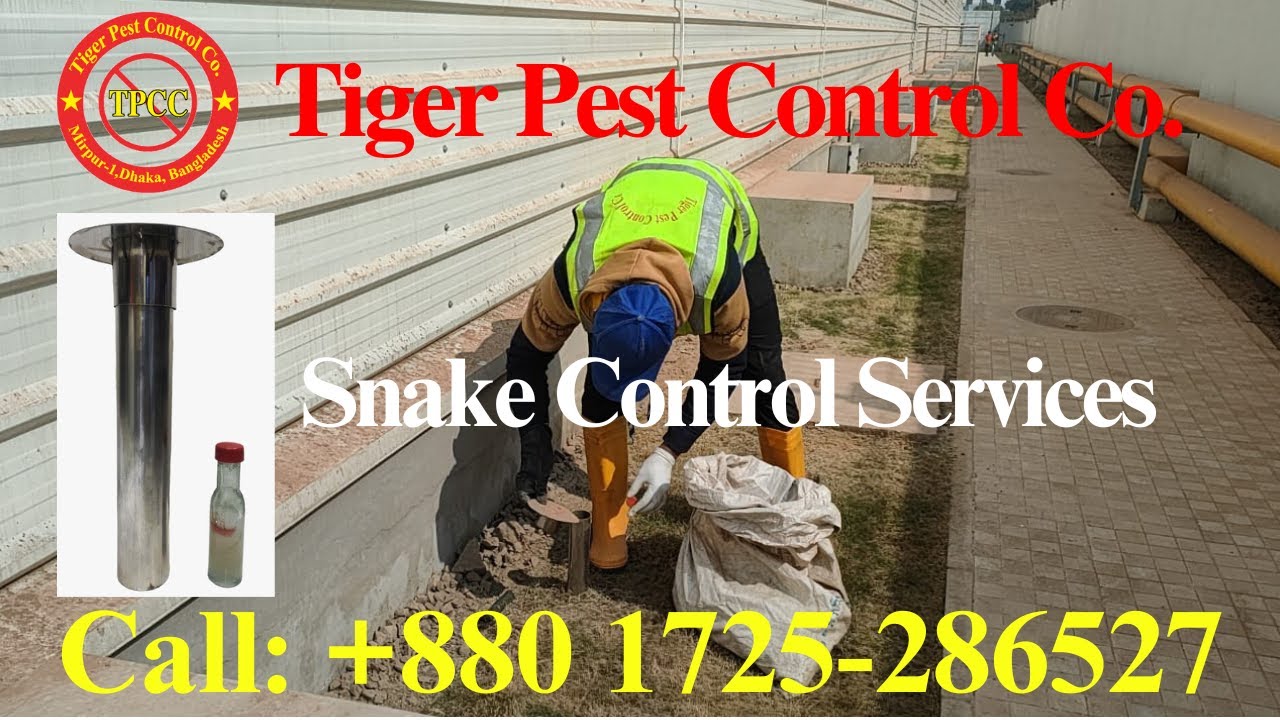 Curated visual reference: Snake Control Services In Savar Area Photo Inspiration