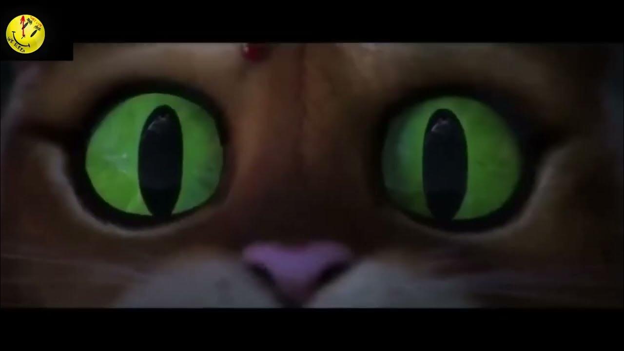 Le Chat Potté 2 Sifflement du loup YouTube