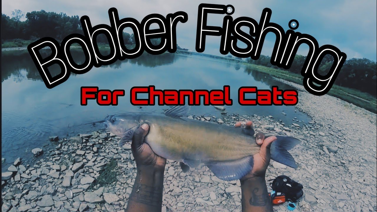 Bobber fishing For Channel Cats YouTube
