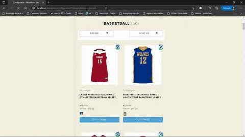Configure IFrame code on WORDPRESS CMS