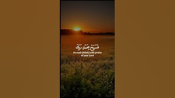 قرآن كريم بصوت خاشع للشيخ ياسر الدوسري #قرآن #تلاوة_خاشعة #ياسر_الدوسري