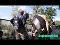 【天王寺動物園】チンパンジー脱走!獣医が噛まれる!関西メディア合戦