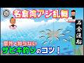 名倉湾良型アジ乱舞!【意外と知らないサビキ釣りのコツ】