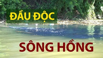 Bắt quả tang doanh nghiệp giặt là xả thải ra sông Hồng | VTC14