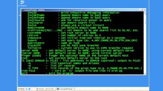 Using NSLOOKUP to Troubleshoot DNS Issues Net Worth