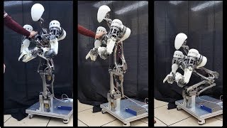 3-DOF Waist for LIMS2-AMBIDEX using Gravity Compensation Mechanisms