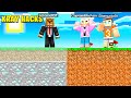 I Am A Secret Hacker In Minecraft