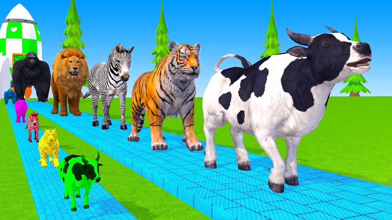 Long Slide Game With Cow Elephant Gorilla Hippopotamus Tiger 3d Animal Game Funny 3d Animals