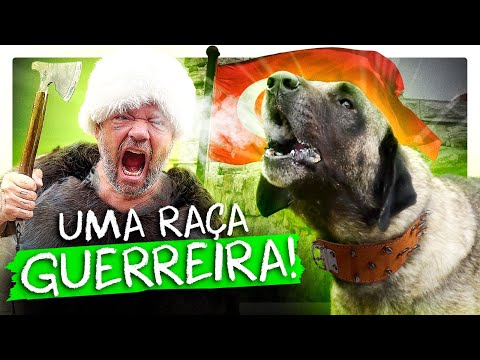 KANGAL, O CACHORRO SELVAGEM DA TURQUIA! | RICHARD RASMUSSEN