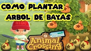 Tutorial Como Plantar Arbol De Bayas En Animal Crossing New Orizons Nintendo Switch