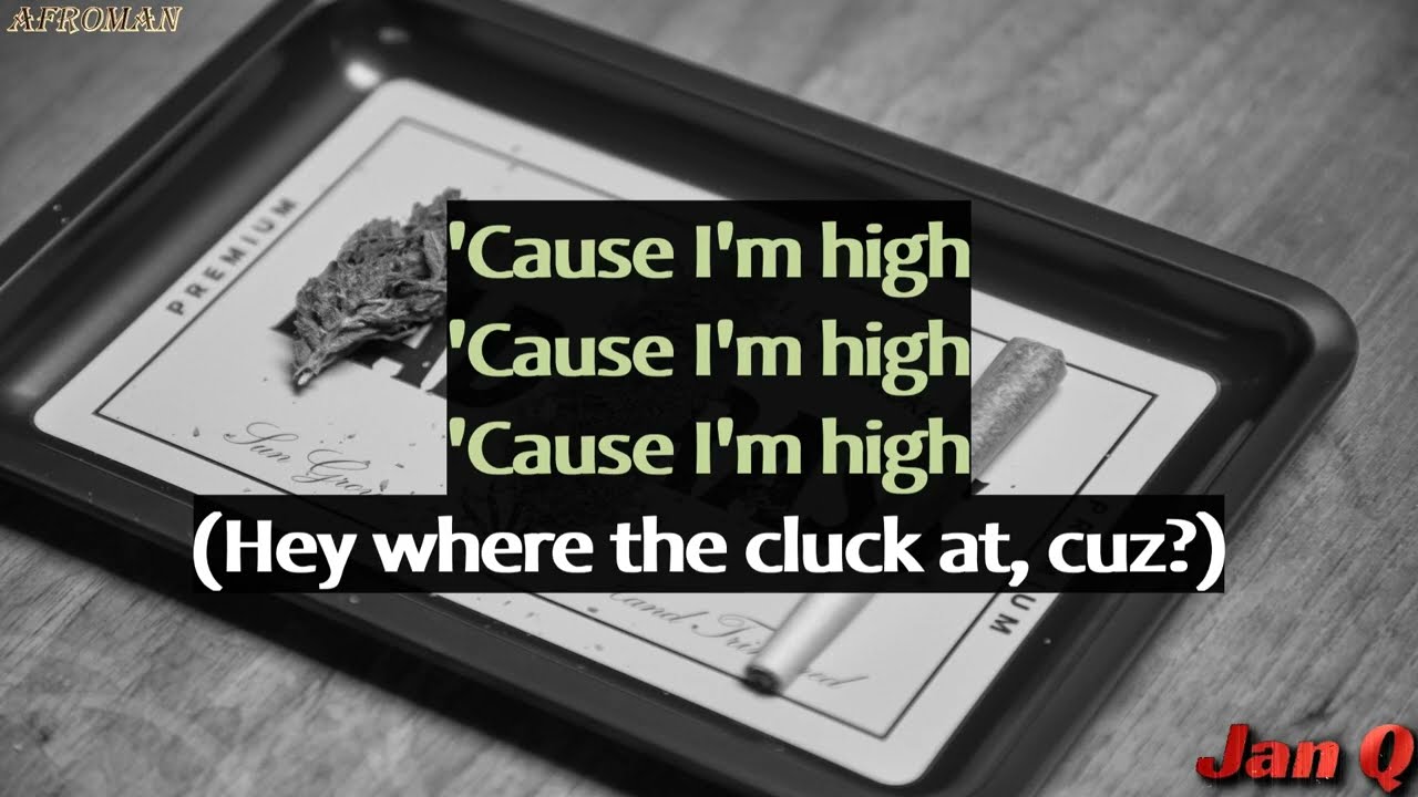 Afroman Because I Got High Tekst