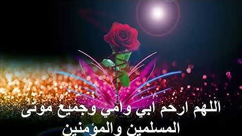 القارئ عبد الرحمن الحميداني تلاوة خاشعة صوته مؤثر يبكي السامع تبارك الله