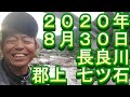 鮎釣り 長良川 釣果 小澤剛 友釣り無双