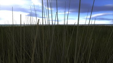 Geometry shader: grass