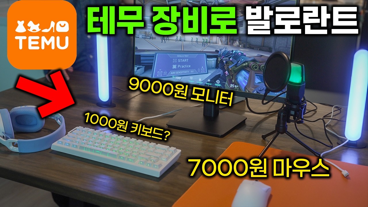 테무산 장비 풀세트로 발로란트를 해보았습니다ㅋㅋㅋㅋ