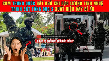 CĐM Trung Quốc Bàng Hoàng: Đội Trinh Sát Tổng Cục 2 Việt Nam Xuất Hiện Bí Ẩn Khiến Thế Giới Run Sợ