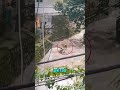 TODAVÍA HAY PERSONAS BUENAS EN EL MUNDO #perros