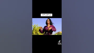 دكان علوي 