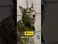 ハスキーを丸洗いした結果が放送事故すぎました…#shorts #shortvideo #youtubeshorts #シベリアンハスキー #柴犬