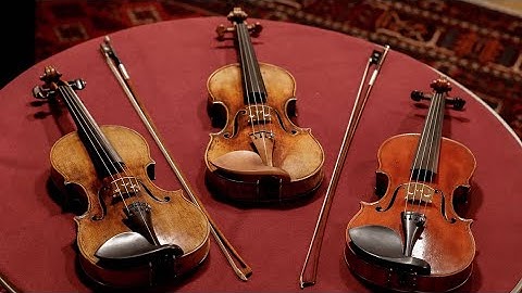 🔥😳I Spent $250,000 Building a Violin That Might Be Illegal to Play ⛔️🎻 #violinmaking #violin #ساز