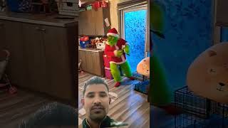 The Grinch Steals a Christmas Tree || ViralHog
