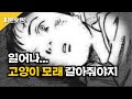 사막화를 막을 수 있는 건 너뿐이라고! 👉 고양이모래 고르는 법