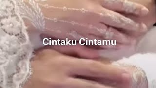Bisma Naufal- Cintaku Cintamu ( Song)