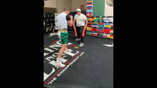 Canelo hand speed training for Plant