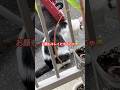 食後の毛繕い😺#ねこ#japan #cat#野良猫#猫動画#猫#癒し#かわいい猫#おすすめ