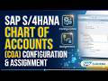 8 SAP S/4HANA Chart of Accounts Configuration and Assignment | Step-by-Step Tutorial