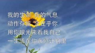 Video voorbeeld van "标杆人生 Purpose Driven Life"