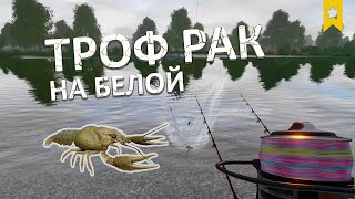 Трофейный Рак речной на Белой! Где и Как поймать? - Русская Рыбалка 4