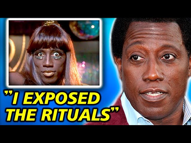 Wesley Snipes FINALLY Reveals Why Hollywood BLACKLISTED Him - YouTube