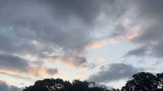 IMG 2734