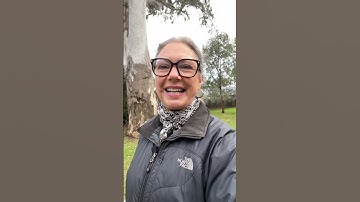 What Are You Looking Forward To? #60plus #afterage60 #makeplansafter60 #funafter60