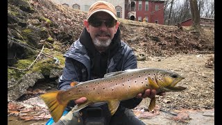 FlyFishing A New Stream With A New Friend, ' BIG HEALTHY PRETTY FISH!'