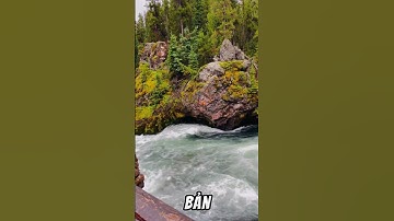 Trở Thành Phiên Bản Tốt Nhất Của Chính Mình #khosango #chungductin #donglucmoingay #chamngoncucosong