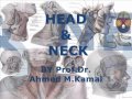1 A Head Neck By Prof Dr Ahmed M Kamal تشريح أحمد كمال Cxt 1 A Head Neck By Prof Dr Ahmed M Kamal تشريح أحمد كمال Cxt