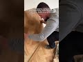 Satisfying ASMR Engineered Wood Flooring Install – Calm & Relaxing DIY Tutorial