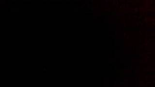 The Pengis *Steffen* I believe I can fly