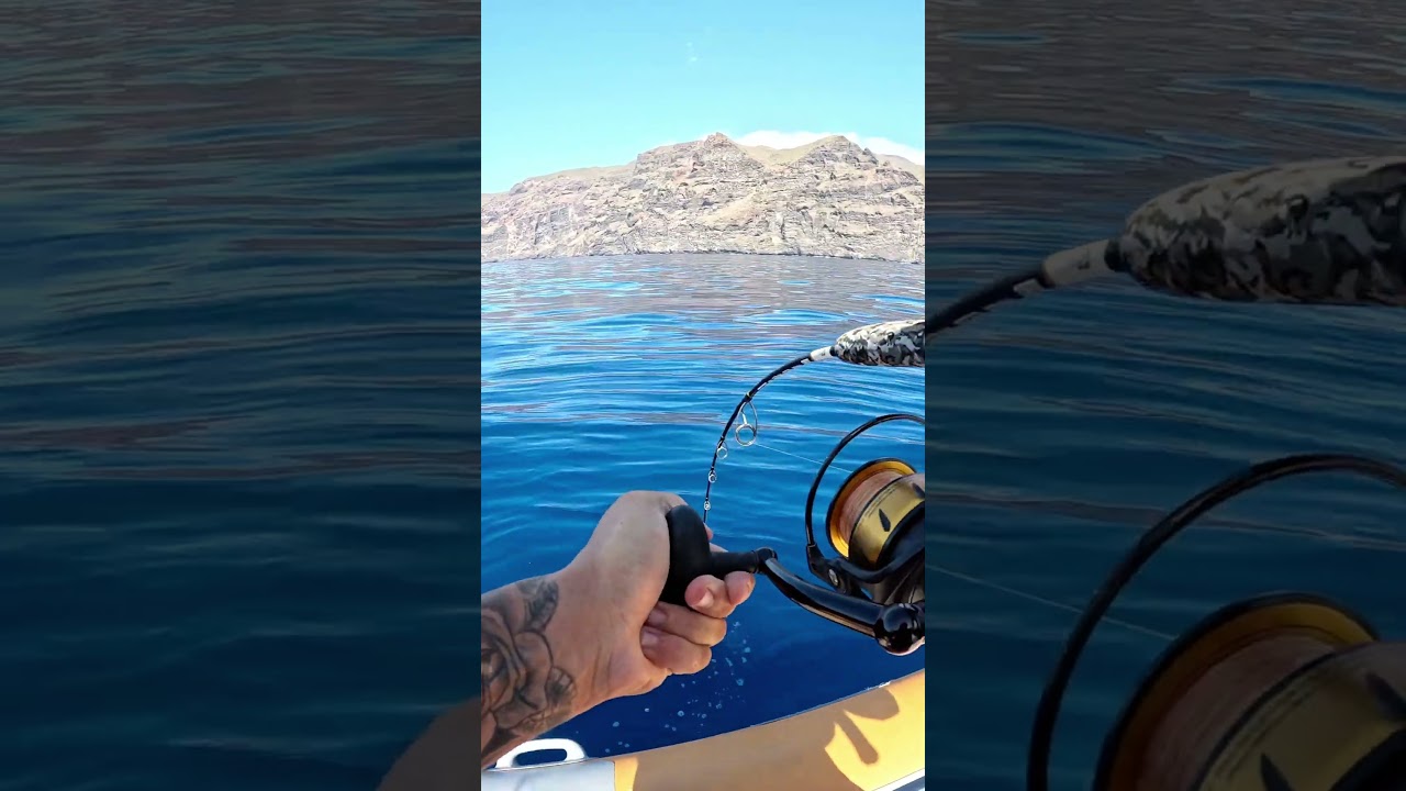 Mantap Lur....mancing Strike ikan Super Babon Mantap👍👍