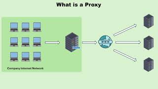 What is Proxy | Understanding Proxy | Forward Proxy vs Reverse Proxy | Explained in Hindi/Urdu