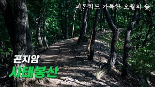 5월의 곤지암 사태봉산 피톤치드 마시며 고즈넉한 숲속길을 걷자