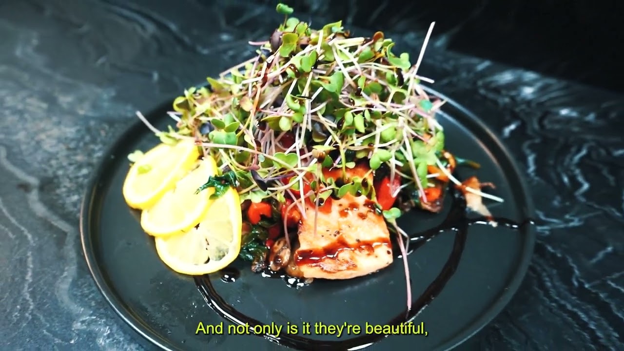 Chef Dom from Unique Eats Las Vegas explains why he LOVES microgreens.