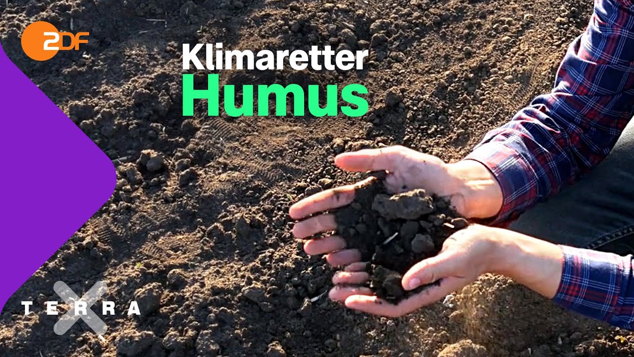 Wie wir mit Humus den Klimawandel beeinflussen können | Terra X plus
