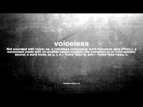 What does voiceless mean