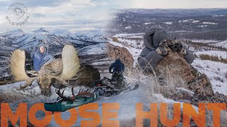 You'll NEVER Believe What Happened On This Late Season Moose Hunt: Part 2