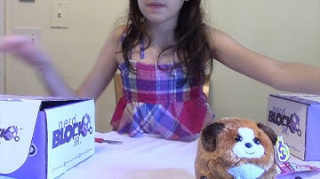 Nerd Block Jr (girls) July and August