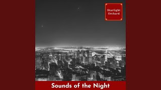 Hushed Tones of Solitude (Key Db Ver.)
